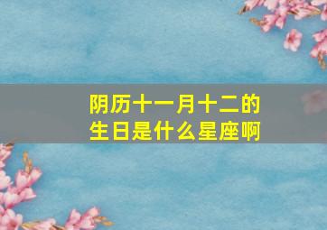 阴历十一月十二的生日是什么星座啊