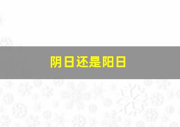 阴日还是阳日