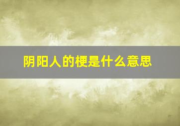 阴阳人的梗是什么意思