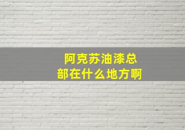 阿克苏油漆总部在什么地方啊