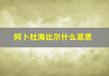 阿卜杜海比尔什么意思