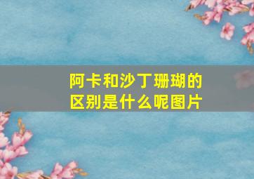 阿卡和沙丁珊瑚的区别是什么呢图片