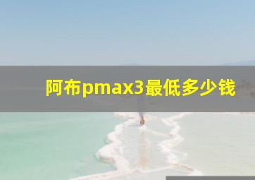 阿布pmax3最低多少钱