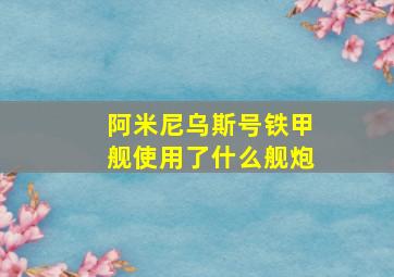 阿米尼乌斯号铁甲舰使用了什么舰炮