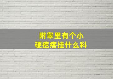 附睾里有个小硬疙瘩挂什么科