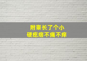 附睾长了个小硬疙瘩不痛不痒