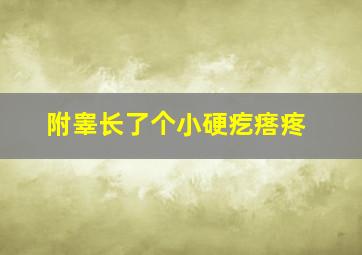 附睾长了个小硬疙瘩疼