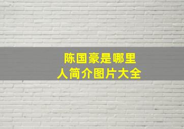 陈国豪是哪里人简介图片大全