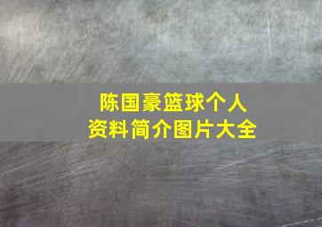 陈国豪篮球个人资料简介图片大全