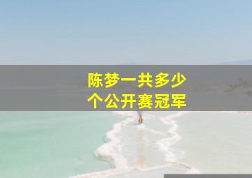 陈梦一共多少个公开赛冠军