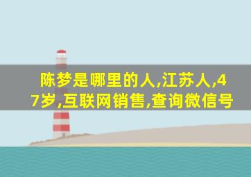 陈梦是哪里的人,江苏人,47岁,互联网销售,查询微信号