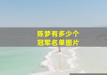 陈梦有多少个冠军名单图片