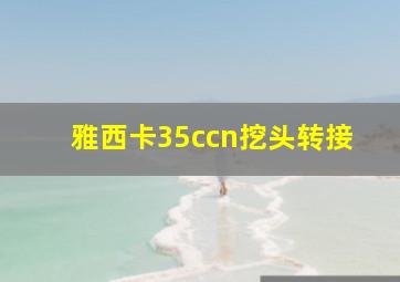 雅西卡35ccn挖头转接