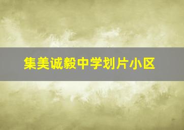 集美诚毅中学划片小区