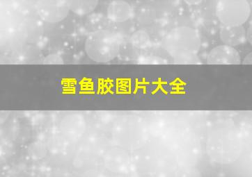 雪鱼胶图片大全