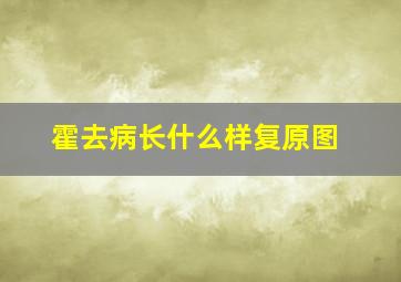 霍去病长什么样复原图