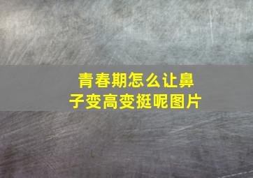 青春期怎么让鼻子变高变挺呢图片