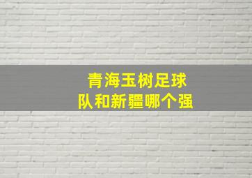 青海玉树足球队和新疆哪个强