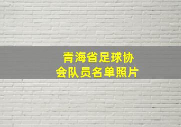 青海省足球协会队员名单照片