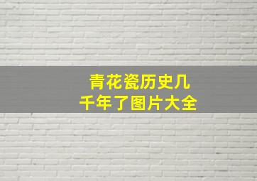 青花瓷历史几千年了图片大全