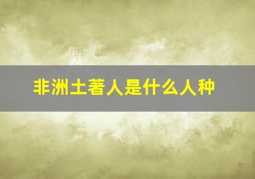 非洲土著人是什么人种