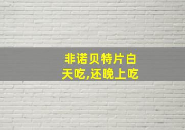 非诺贝特片白天吃,还晚上吃