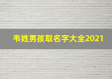 韦姓男孩取名字大全2021