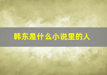 韩东是什么小说里的人