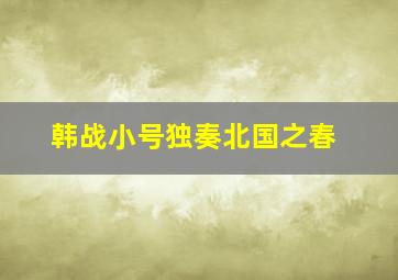 韩战小号独奏北国之春