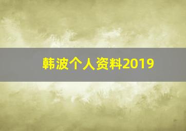 韩波个人资料2019