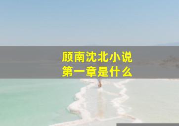 顾南沈北小说第一章是什么