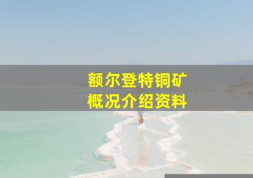 额尔登特铜矿概况介绍资料