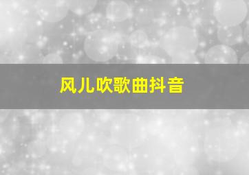 风儿吹歌曲抖音