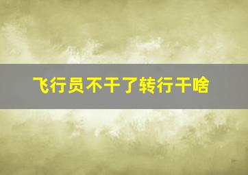 飞行员不干了转行干啥