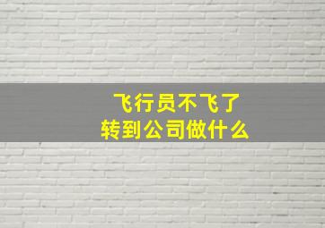 飞行员不飞了转到公司做什么