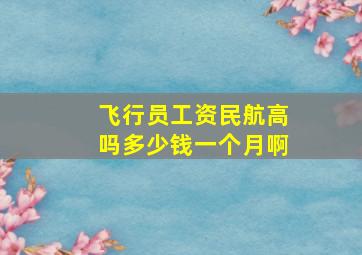 飞行员工资民航高吗多少钱一个月啊