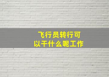 飞行员转行可以干什么呢工作