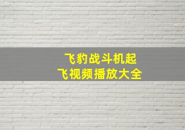 飞豹战斗机起飞视频播放大全