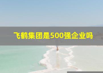 飞鹤集团是500强企业吗