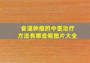 食道肿瘤的中医治疗方法有哪些呢图片大全