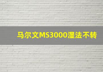 马尔文MS3000湿法不转