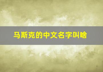 马斯克的中文名字叫啥