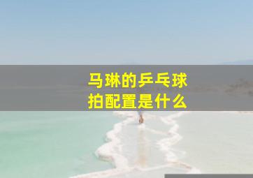 马琳的乒乓球拍配置是什么