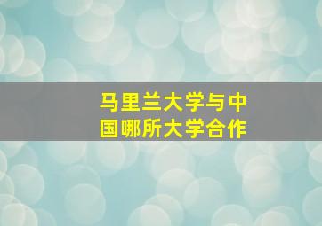 马里兰大学与中国哪所大学合作