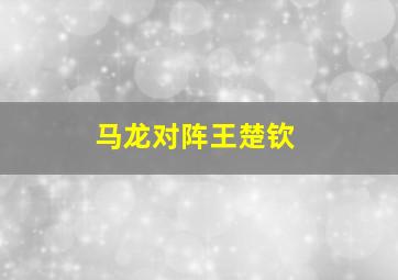 马龙对阵王楚钦