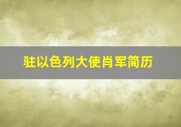 驻以色列大使肖军简历