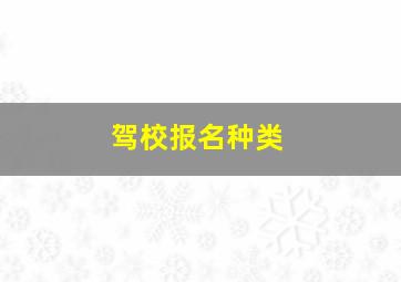 驾校报名种类