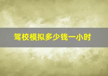 驾校模拟多少钱一小时