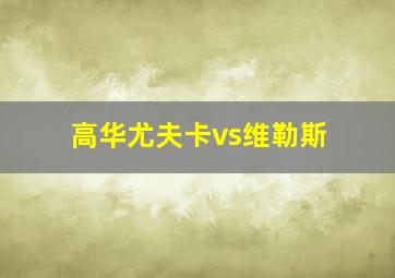 高华尤夫卡vs维勒斯