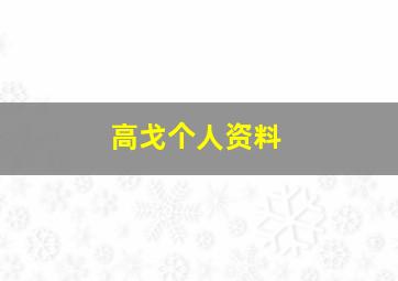 高戈个人资料